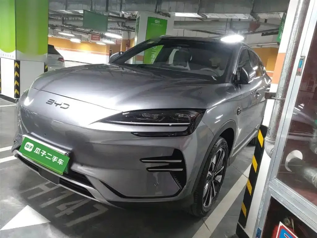 BYD PLUS New Energy — фото 1