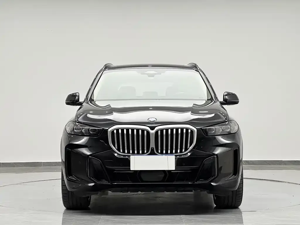 BMW X5 — фото 10