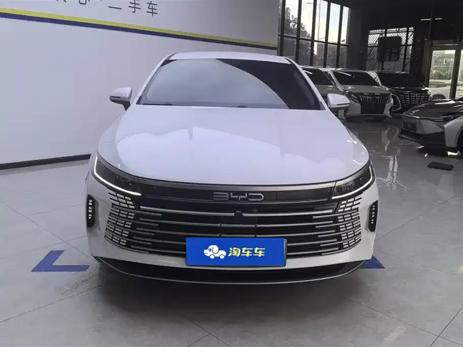 BYD Destroyer 05 — фото 2