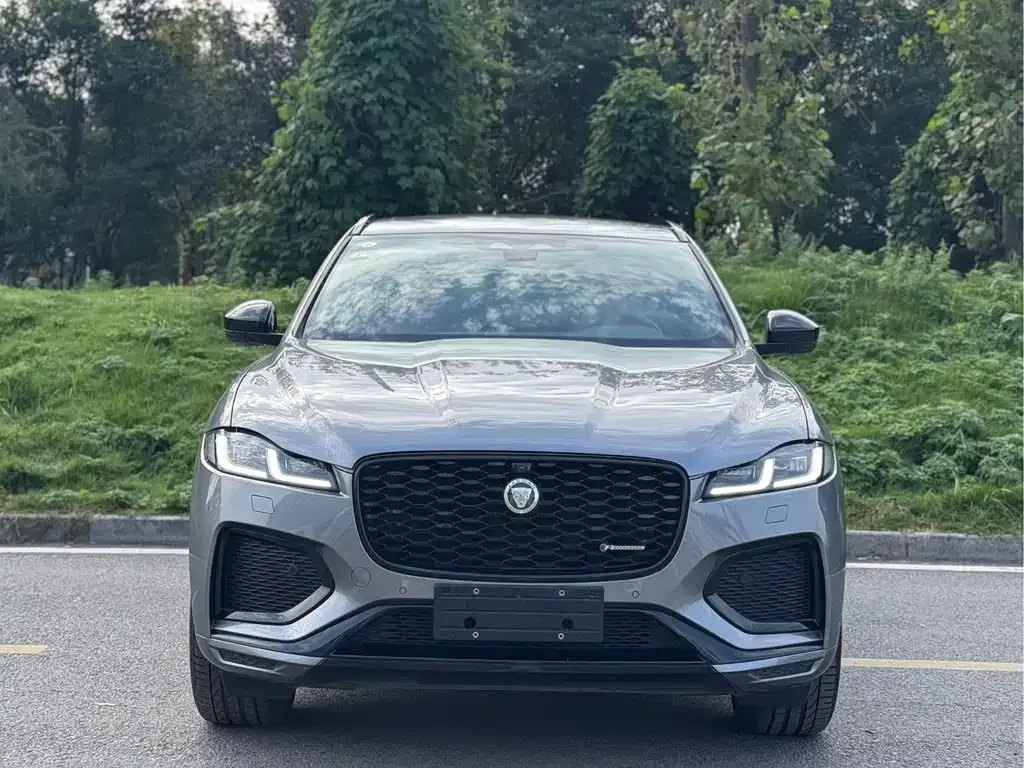 Jaguar F-PACE — фото 3