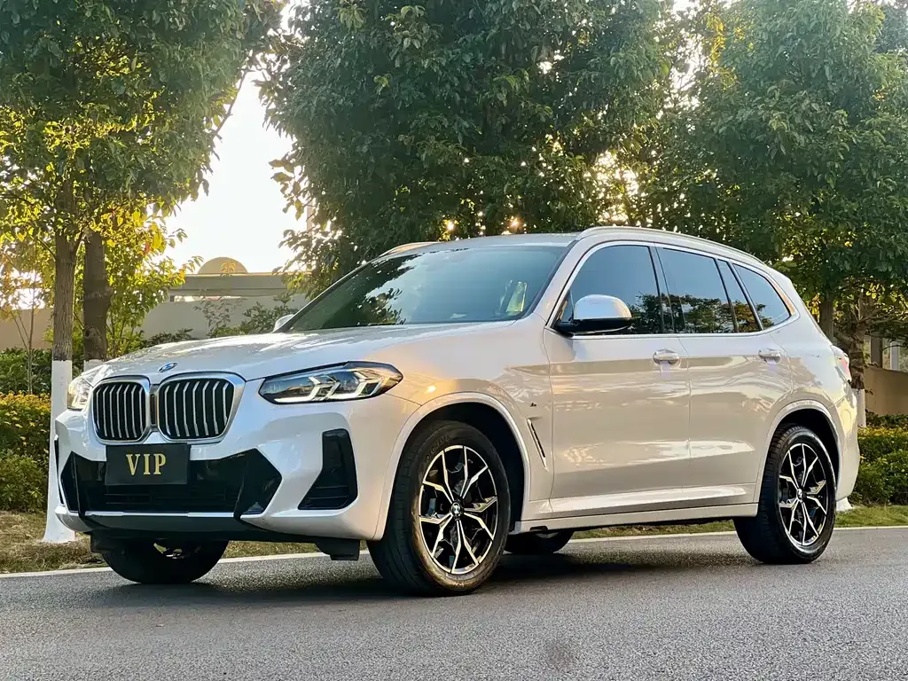 BMW X3 — фото 1