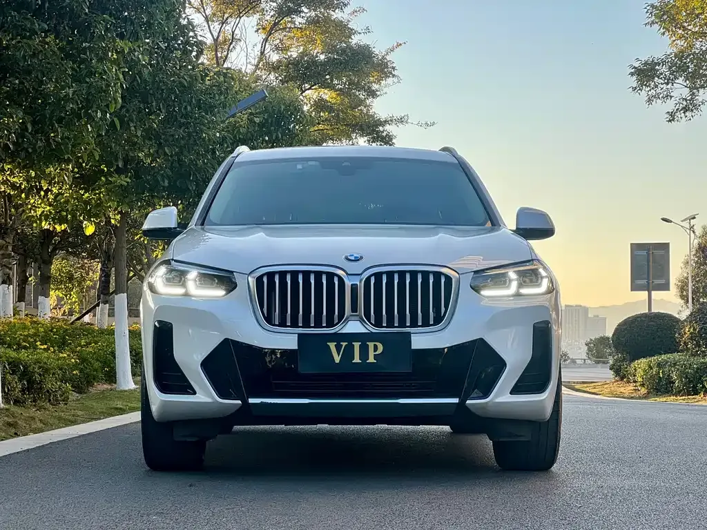 BMW X3 — фото 2