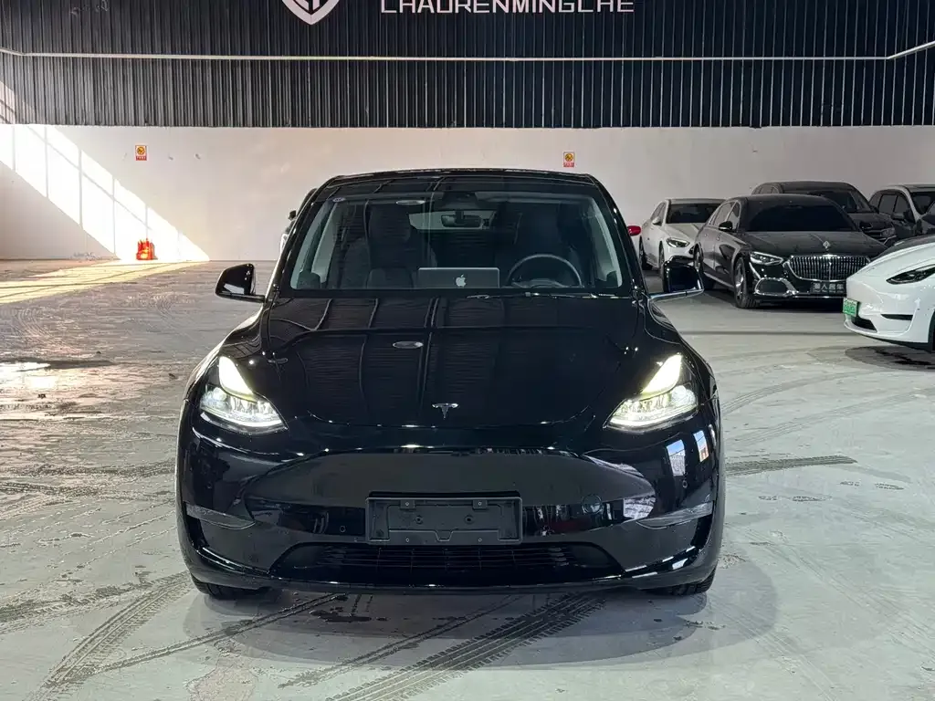 Tesla Model Y — фото 2