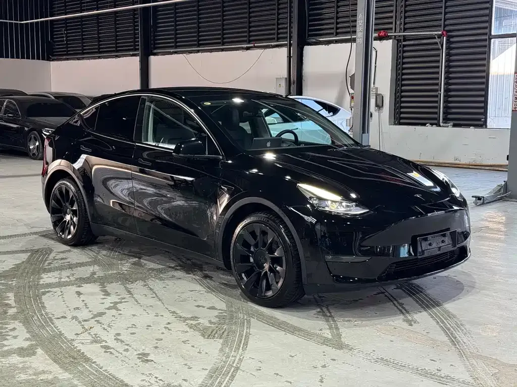 Tesla Model Y — фото 3