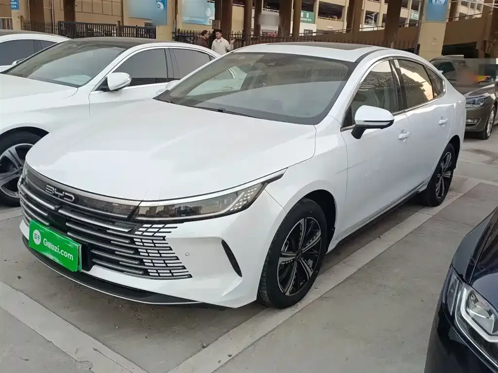 BYD Destroyer 05 — фото 1