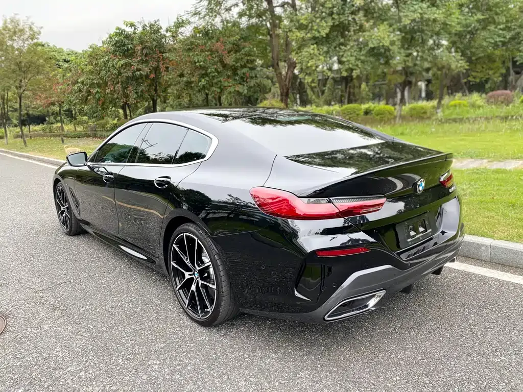 BMW 8 Series — фото 6