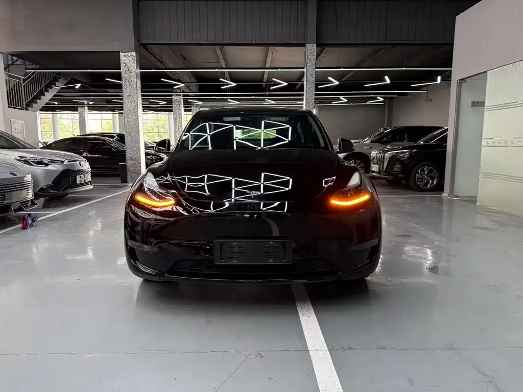 Tesla Model Y — фото 2