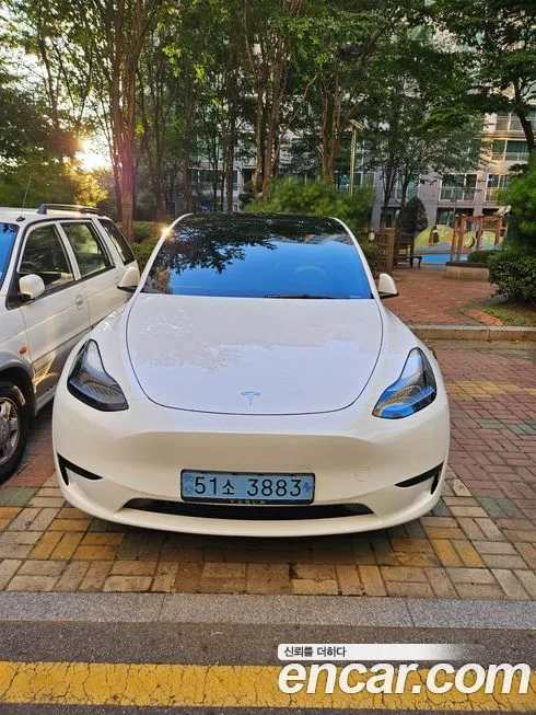 Tesla Model Y — фото 3