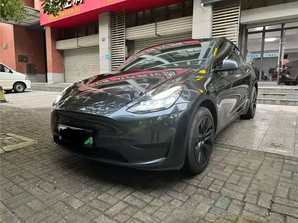 Tesla Model Y — фото 1