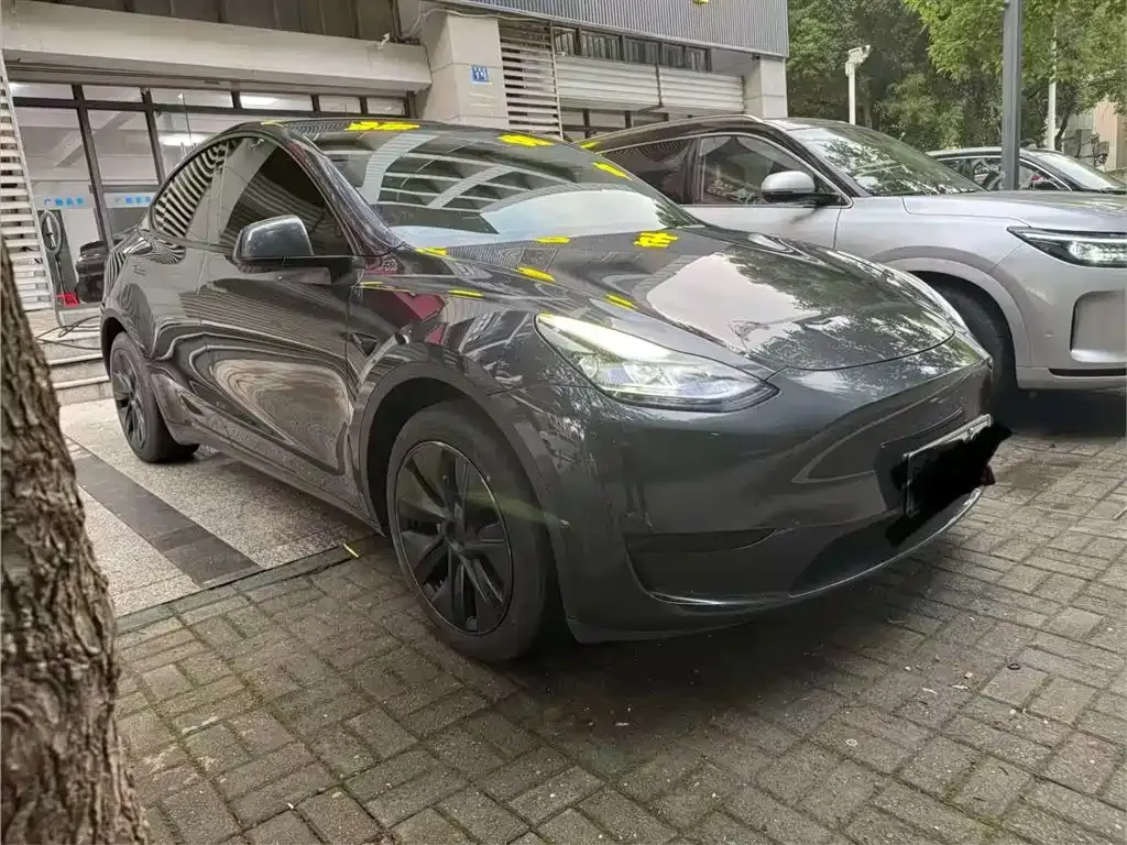 Tesla Model Y — фото 3