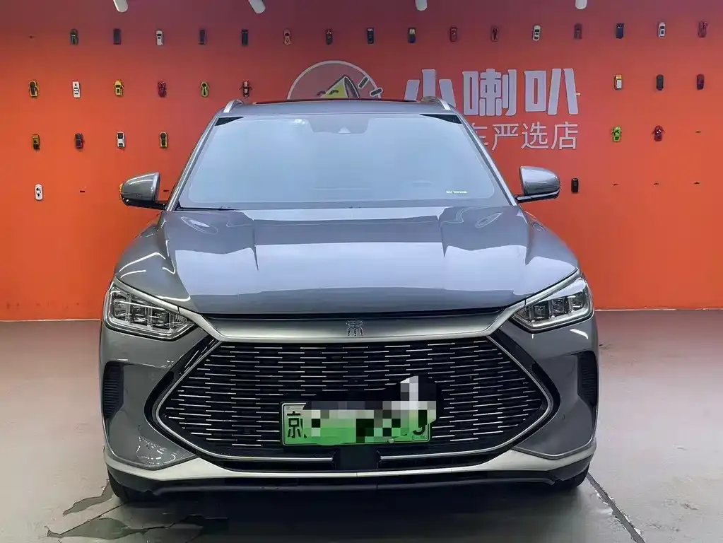 BYD PLUS New Energy — фото 2