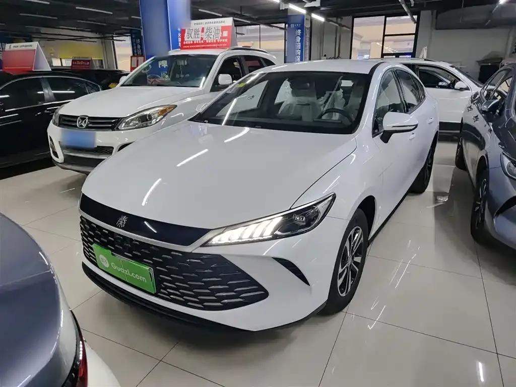 BYD Qin PLUS — фото 1