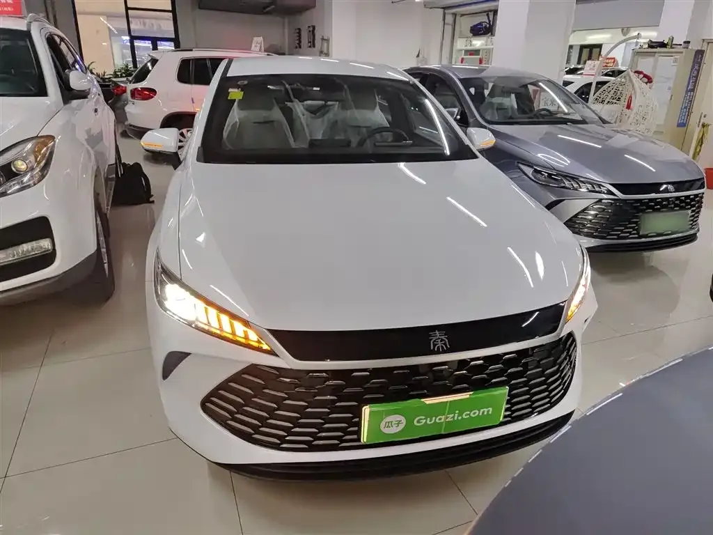 BYD Qin PLUS — фото 3