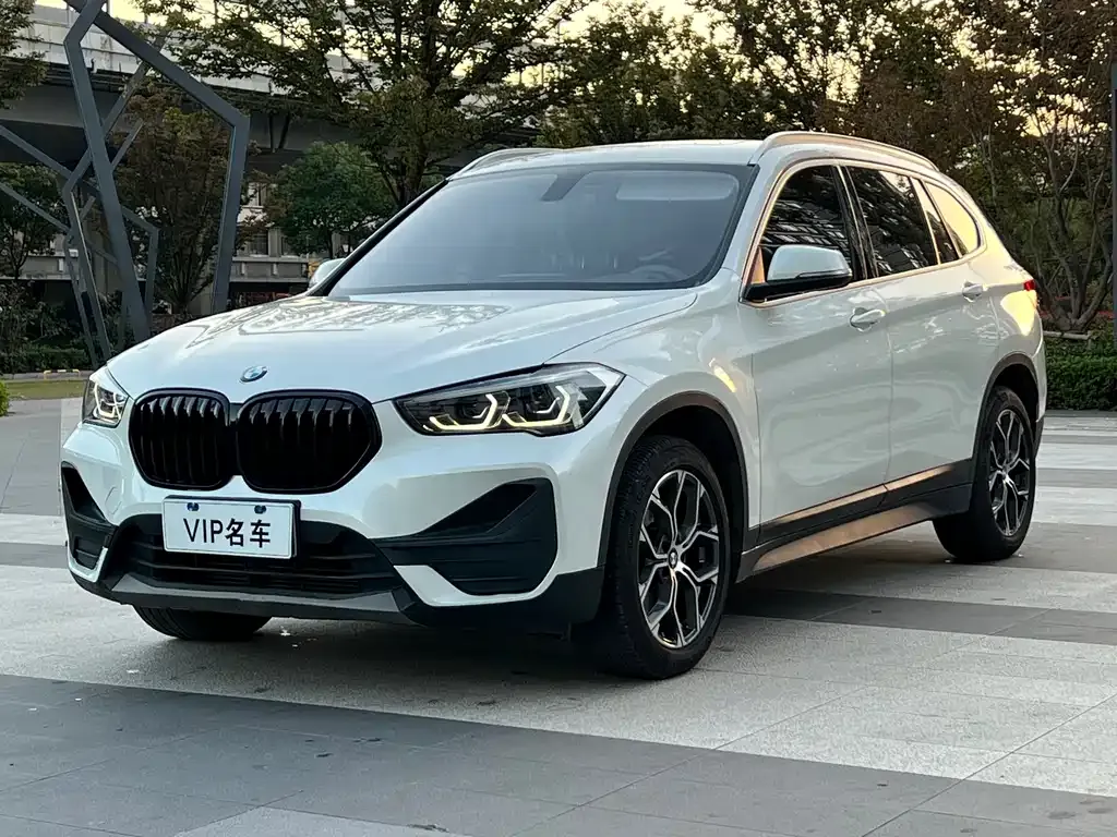 BMW X1 — фото 1