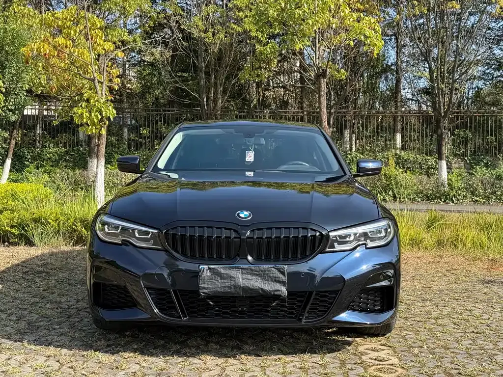 BMW 3 Series — фото 2