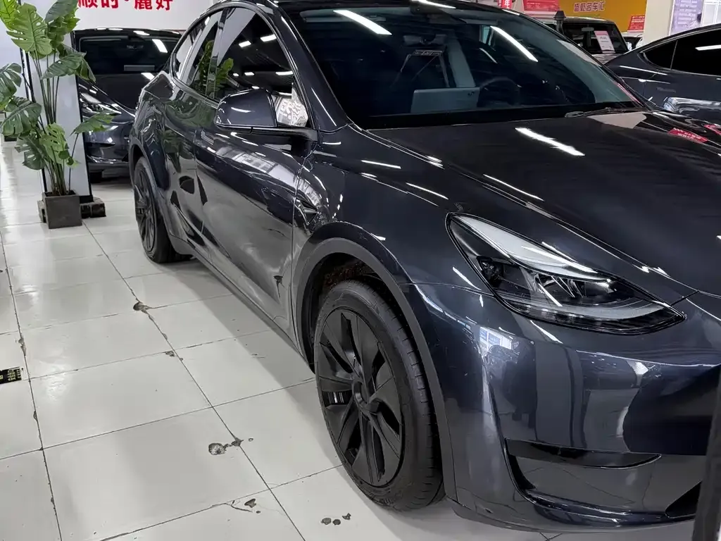Tesla Model Y — фото 2