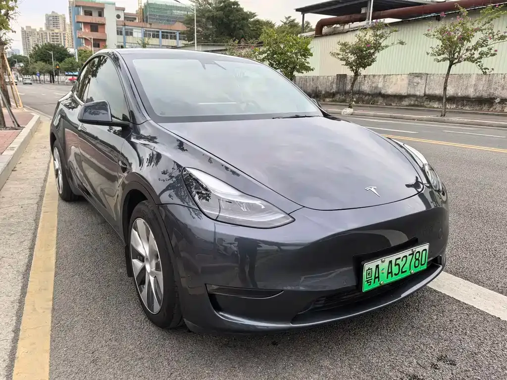 Tesla Model Y — фото 3