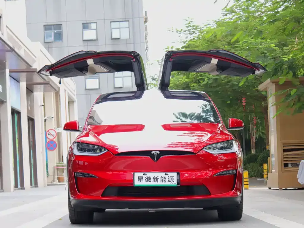 Tesla Model X — фото 2