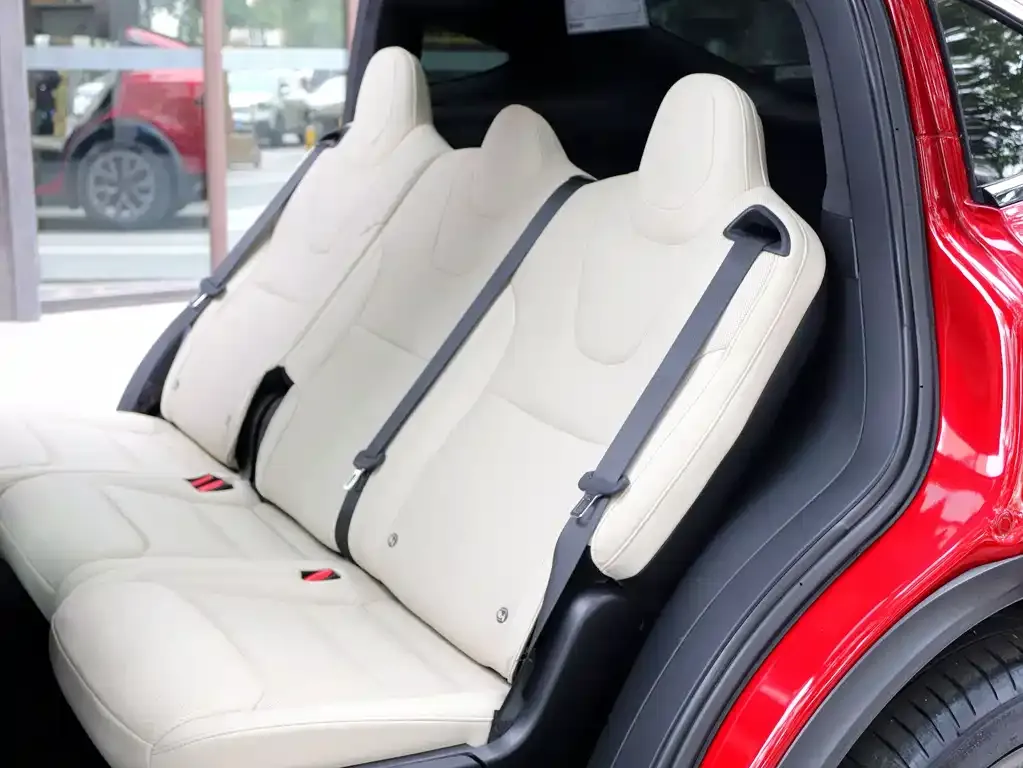 Tesla Model X — фото 6