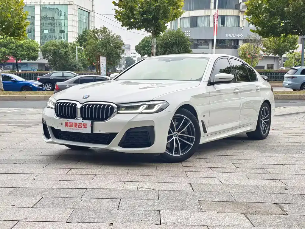 BMW 5 Series (Import) — фото 1