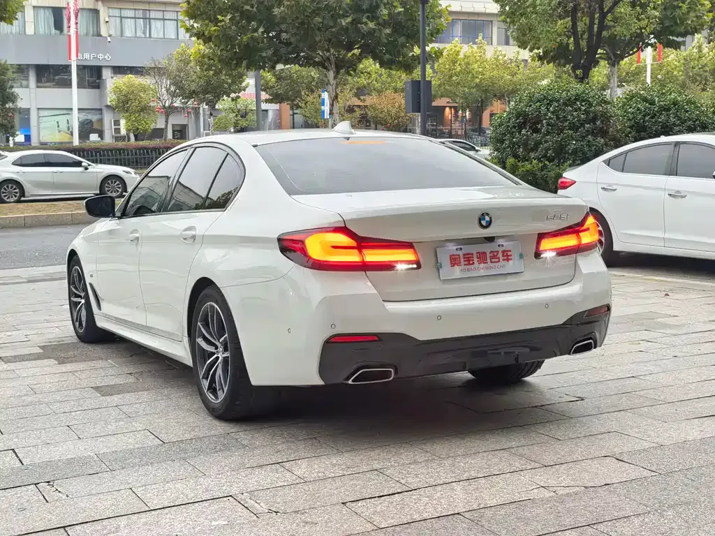 BMW 5 Series (Import) — фото 6