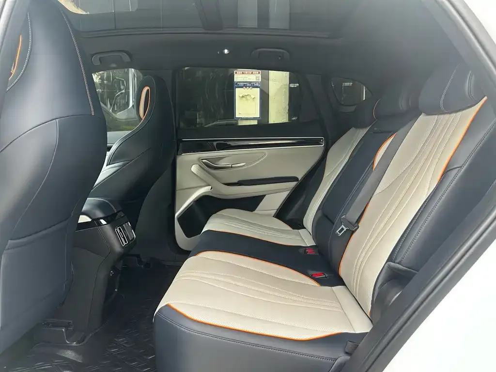 BYD PLUS New Energy — фото 10