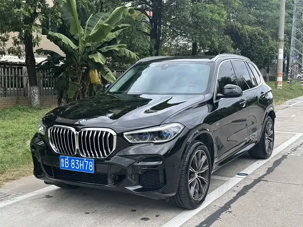 BMW X5 (Import) — фото 1