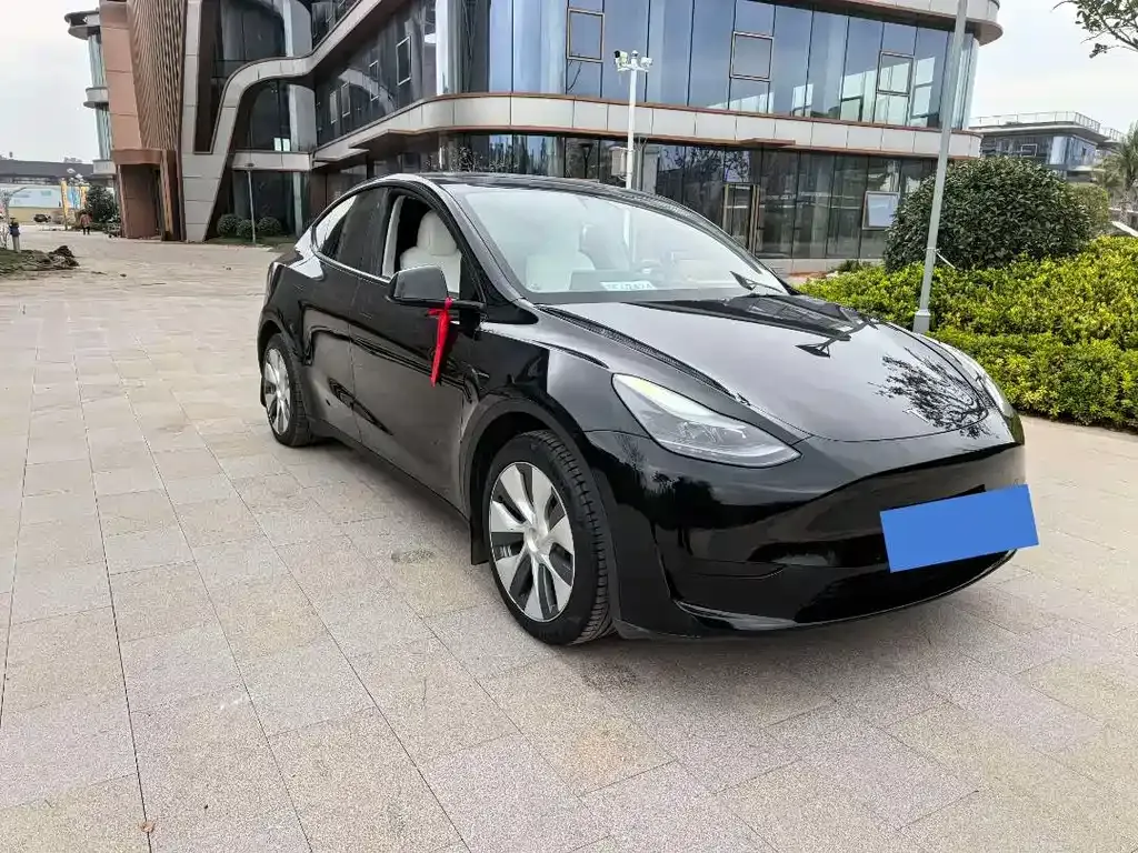 Tesla Model Y — фото 8