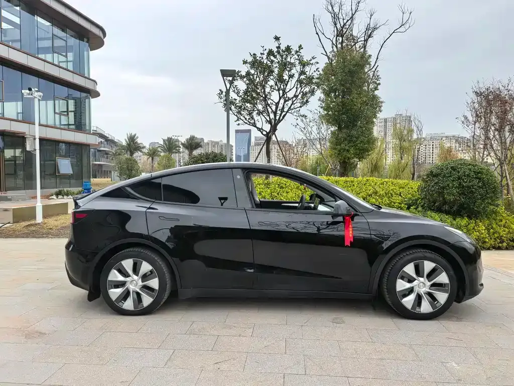 Tesla Model Y — фото 9