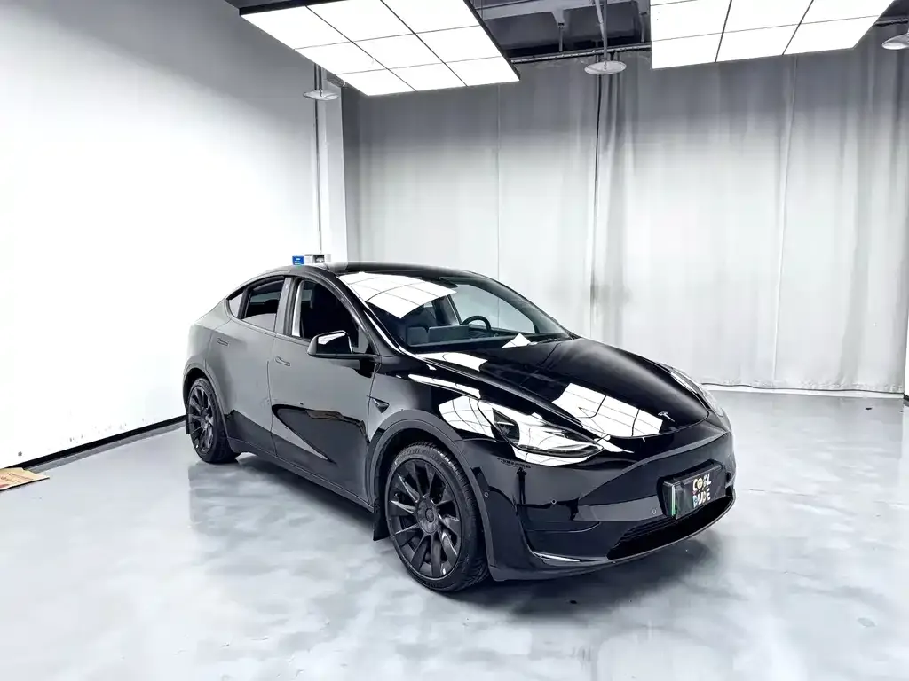 Tesla Model Y — фото 2