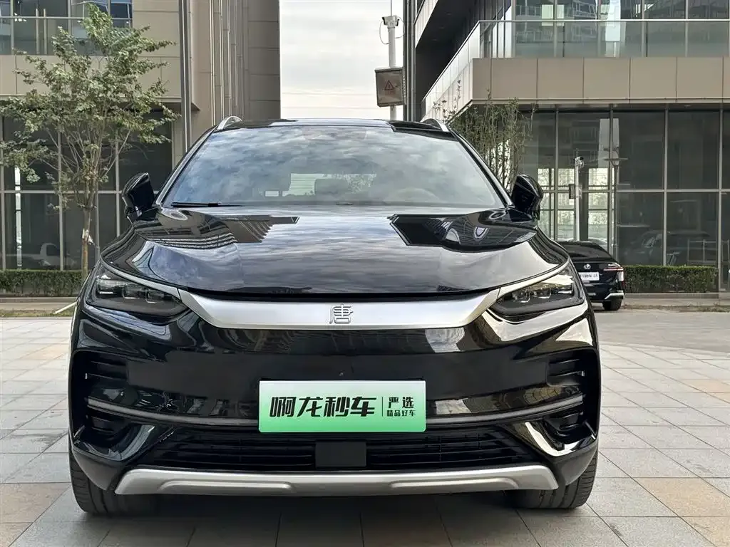 BYD Tang New Energy — фото 3