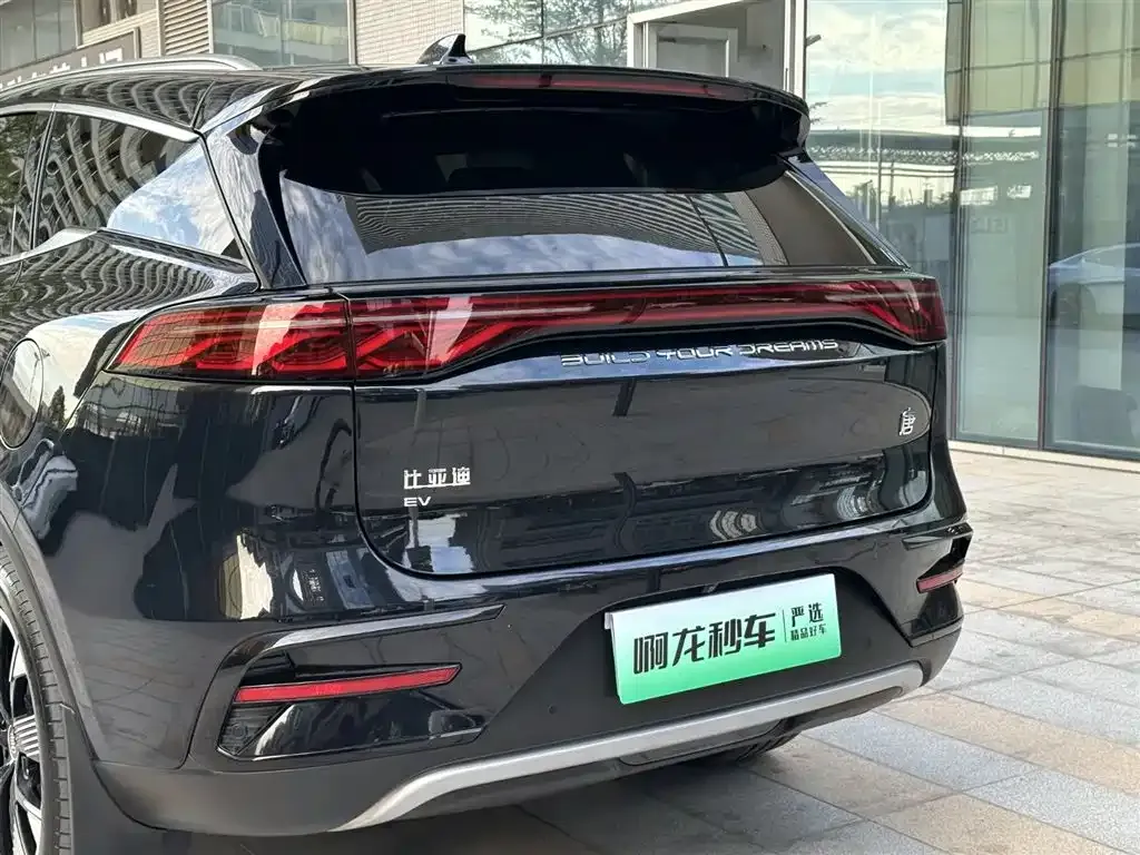 BYD Tang New Energy — фото 5