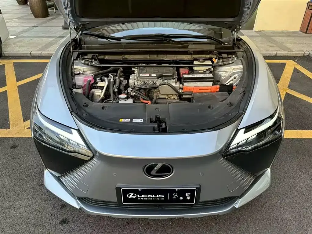 Lexus RZ — фото 4