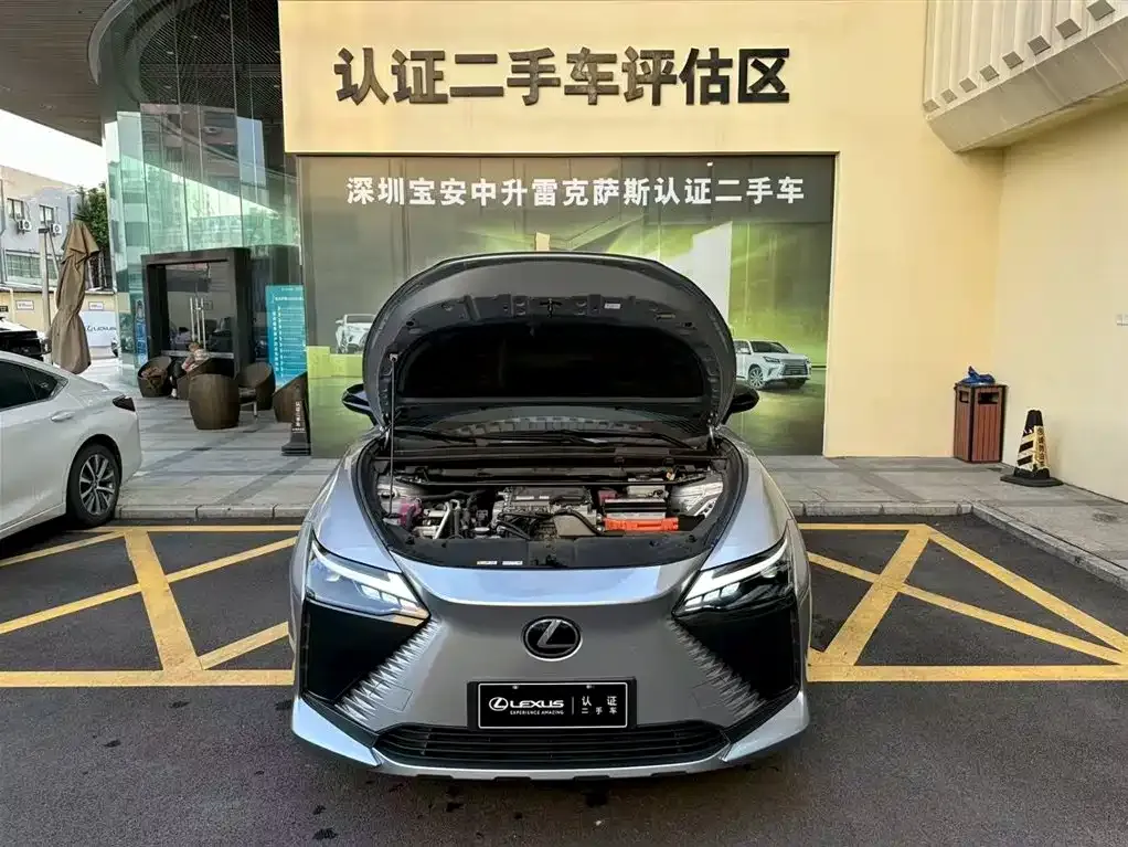 Lexus RZ — фото 5