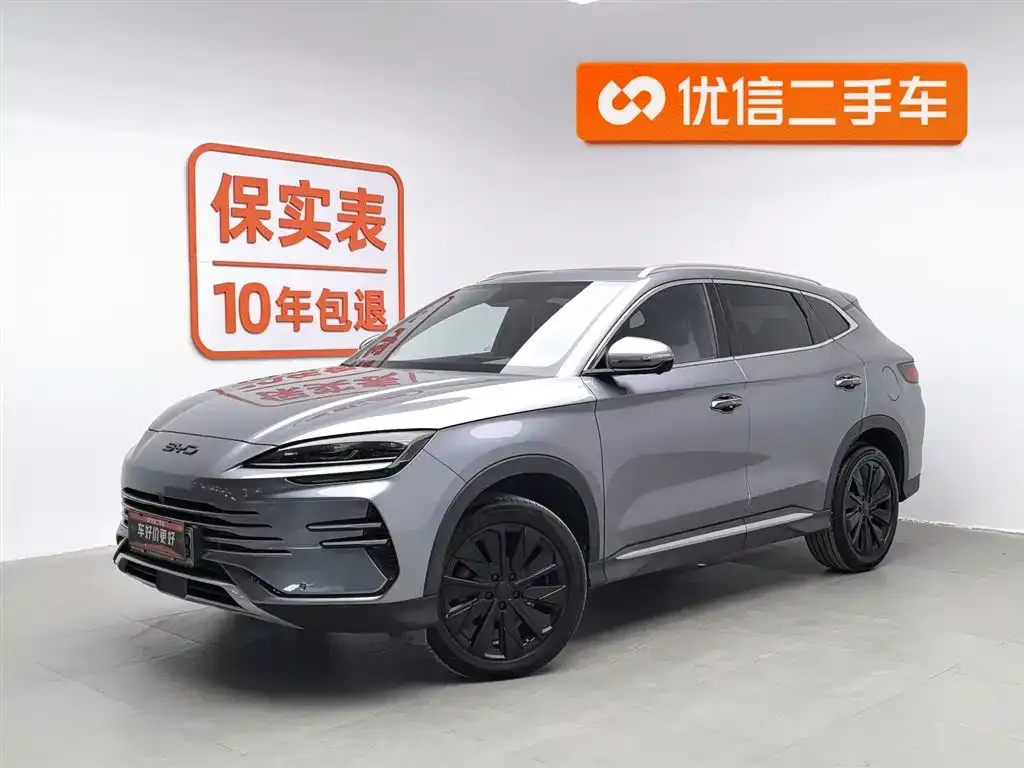 BYD PLUS New Energy — фото 1