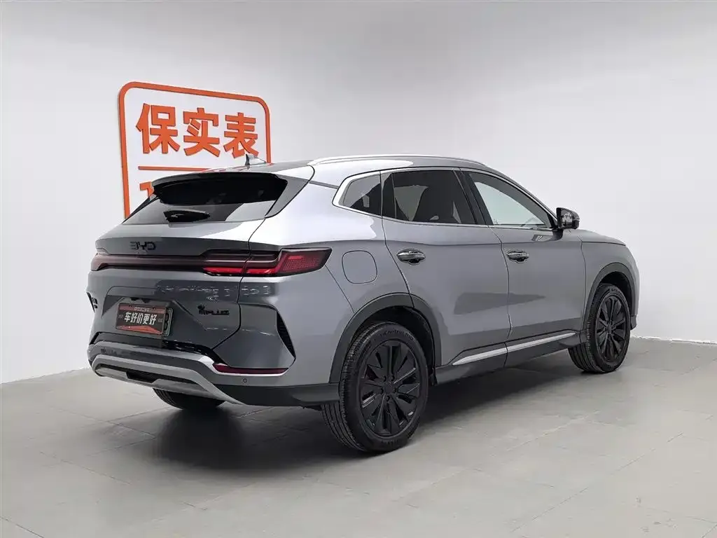 BYD PLUS New Energy — фото 2