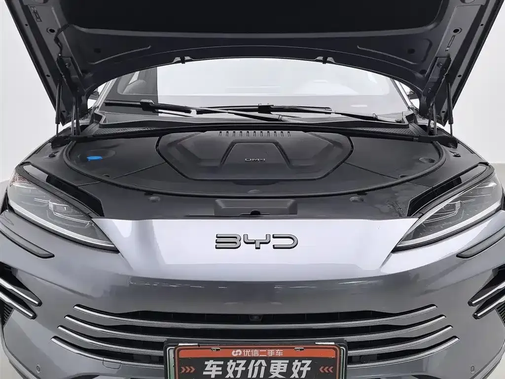 BYD PLUS New Energy — фото 6