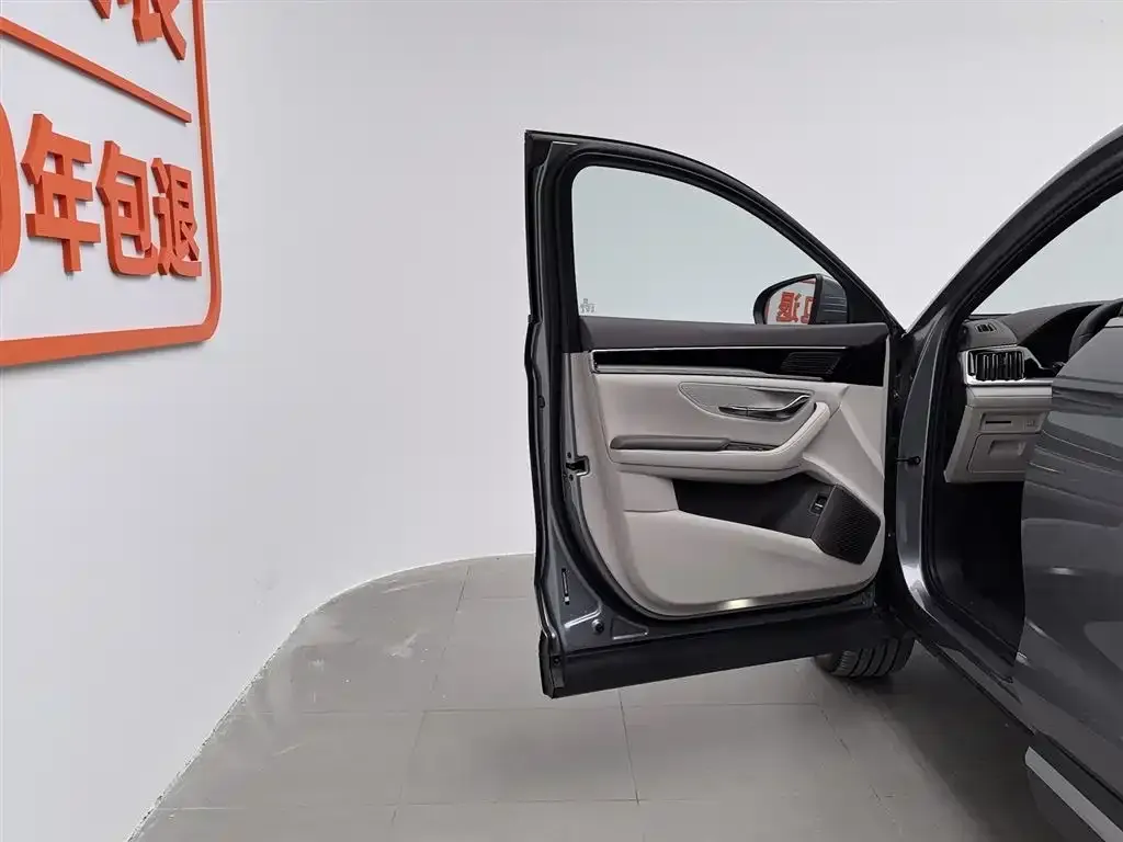 BYD PLUS New Energy — фото 8