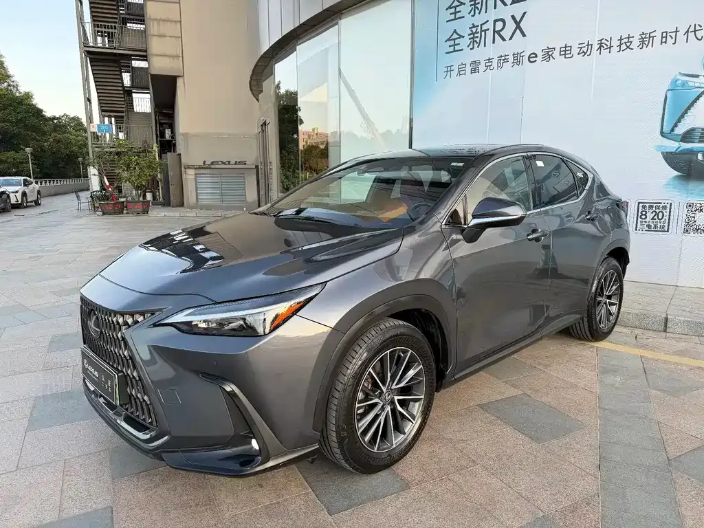 Lexus NX New Energy — фото 1