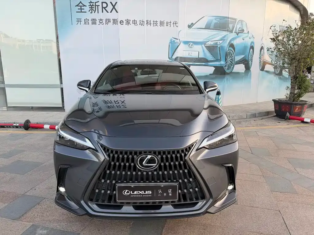 Lexus NX New Energy — фото 2