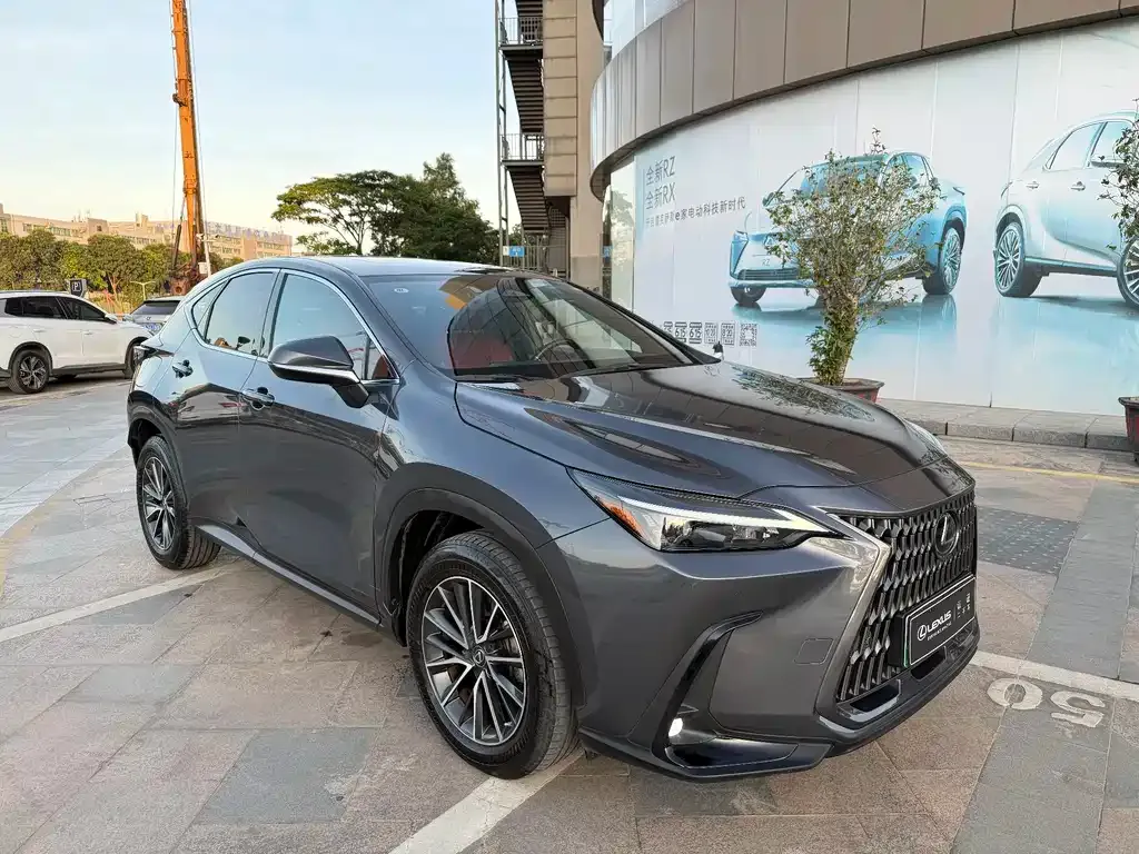 Lexus NX New Energy — фото 4