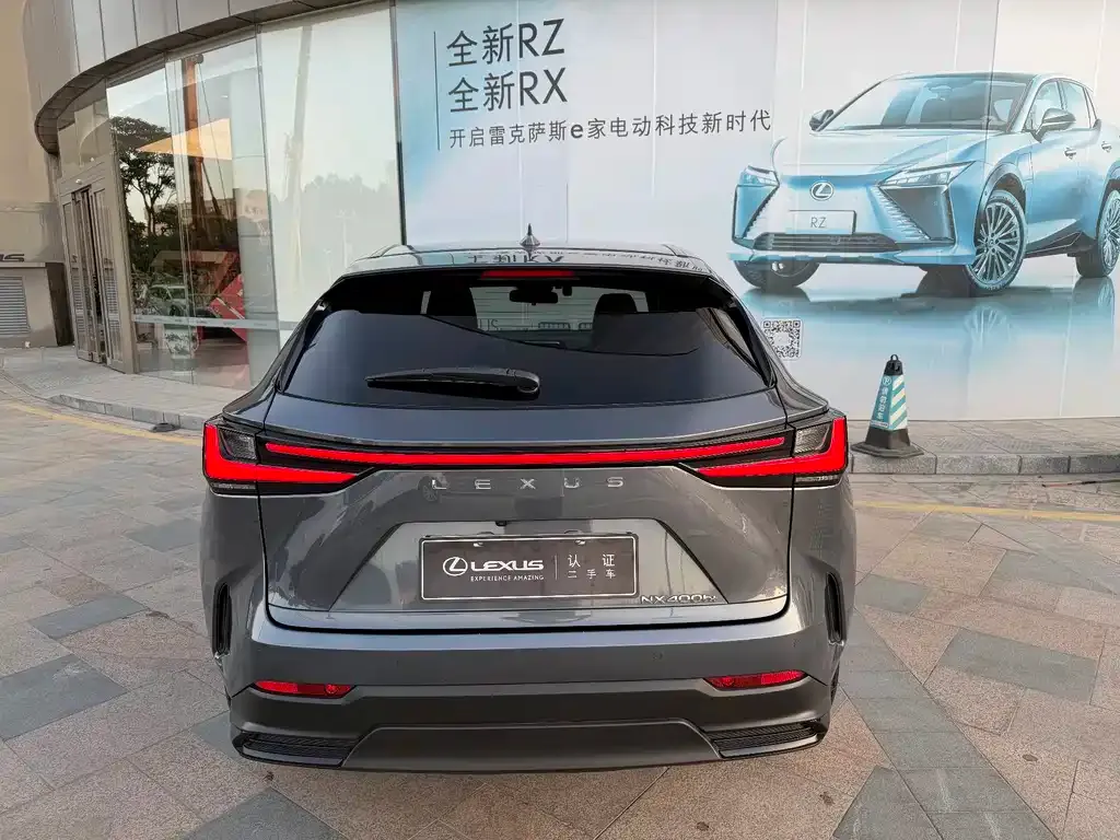 Lexus NX New Energy — фото 6