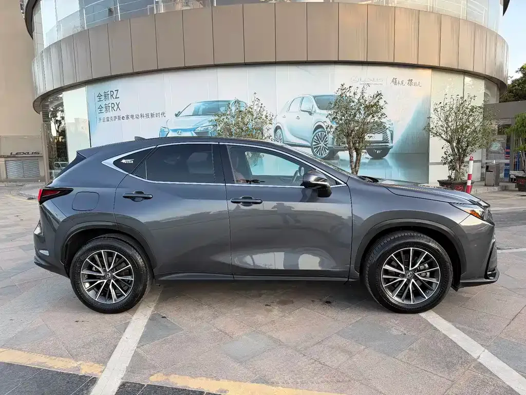 Lexus NX New Energy — фото 7