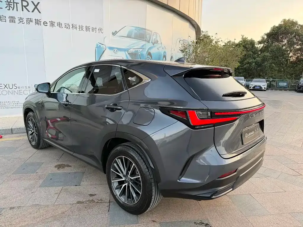 Lexus NX New Energy — фото 9