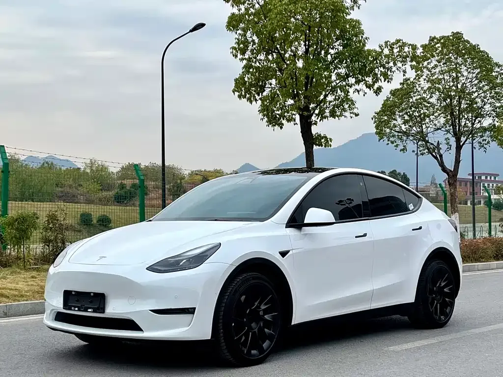 Tesla Model Y — фото 1