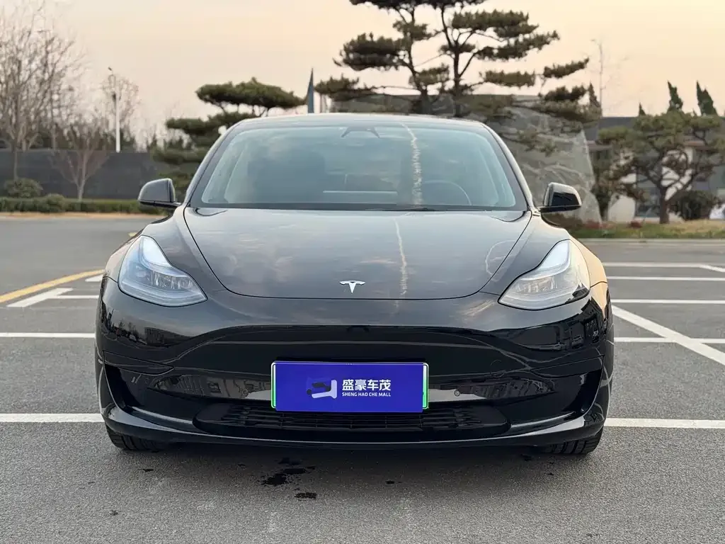 Tesla Model 3 — фото 2
