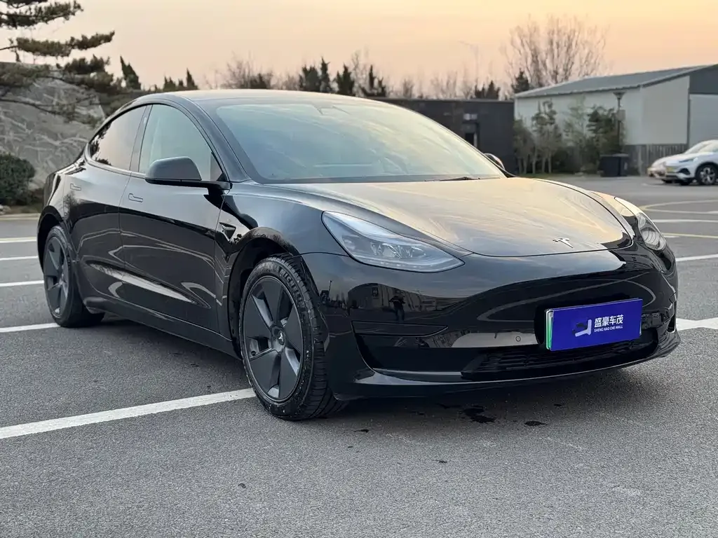 Tesla Model 3 — фото 3