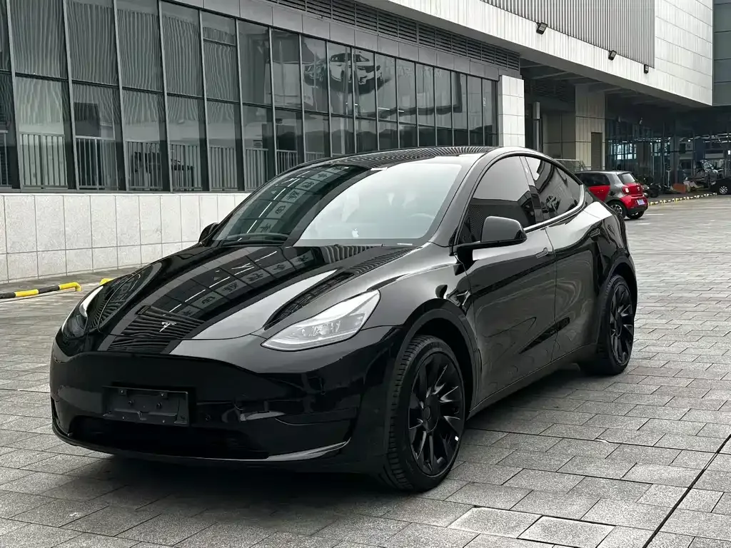 Tesla Model Y — фото 1