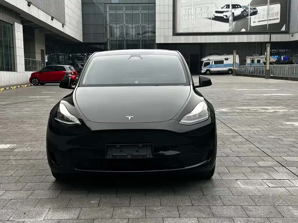 Tesla Model Y — фото 2