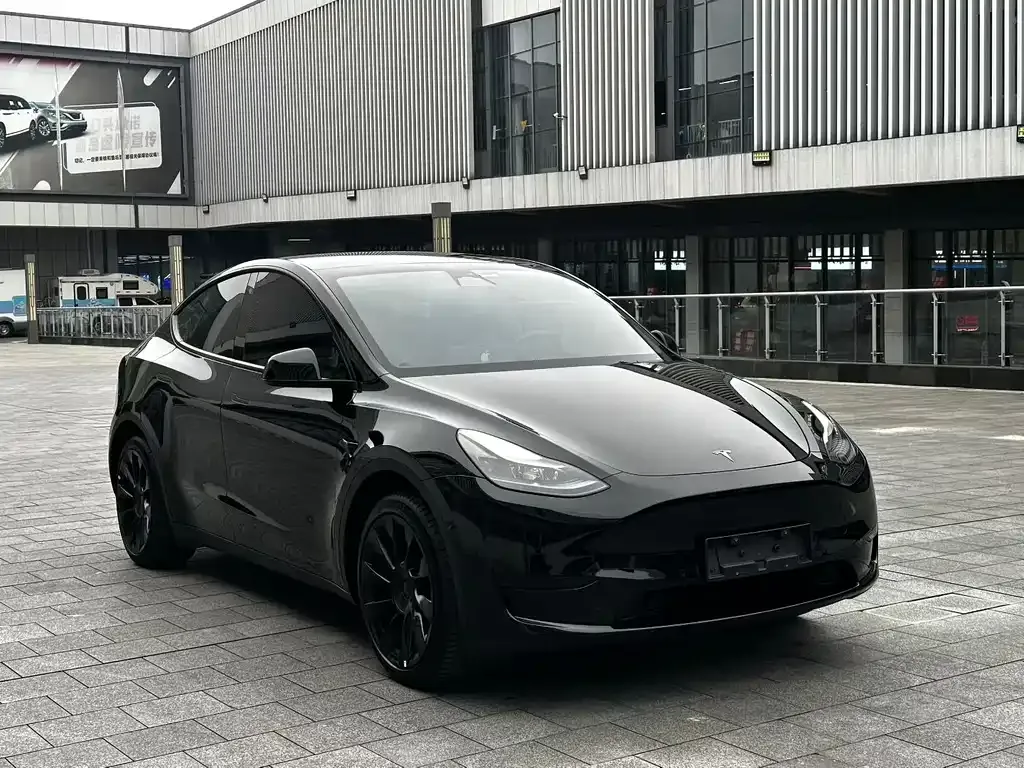 Tesla Model Y — фото 3
